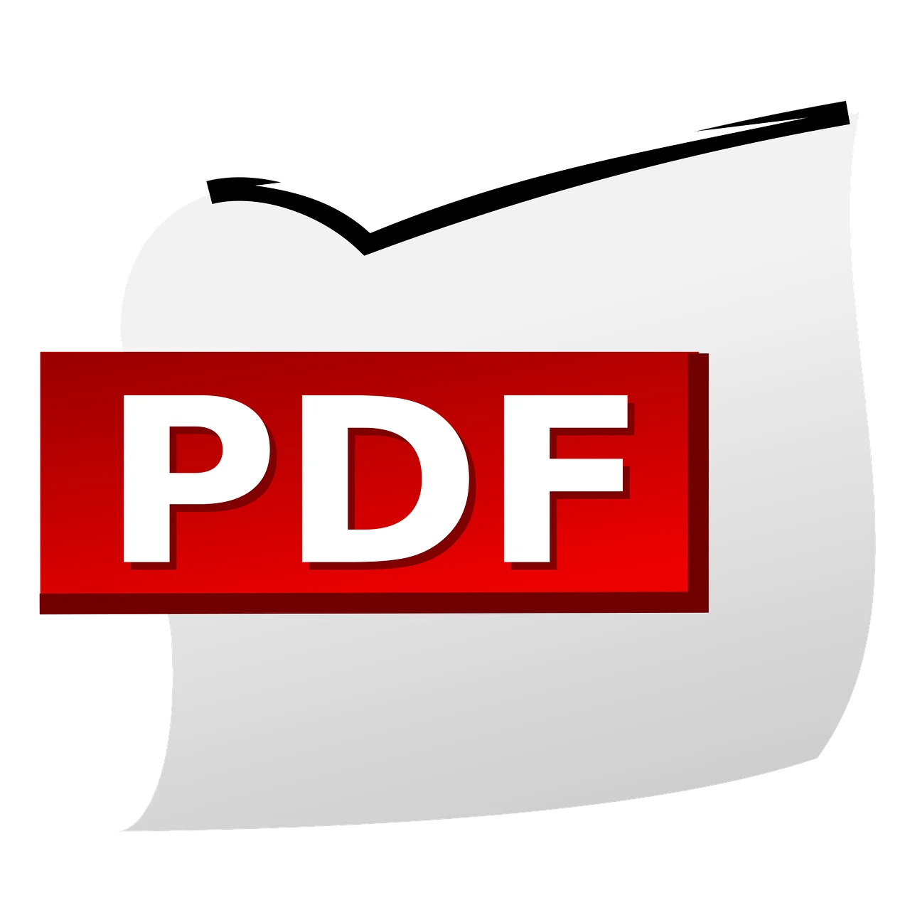 View PDF